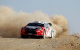 Wrc Mexico 2 012